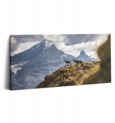 Wallfluent Vászonkép Canvas Konyha Fa Keret Kecskék És Aosta-völgy Olaszország (010030010010000075414)