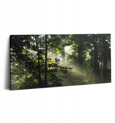 Wallfluent Fotótapéta Étkezőbe Vállra Napsugarak és Fák 100x50 cm (010030010010000276821)