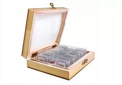 Opticon Biológiai készítmények Az Ember Anatómiája (OPT-38-000657)