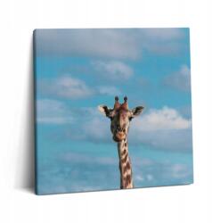 Wallfluent Vászonkép Canvas Fa kerettel Edzőterem Zsiráf fej az ég hátterében (010030010270000075345)