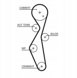 Gates Szíj SZETT/116/ Focus 2.0TDCI 11-