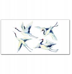 Coloray Vászonkép keretben Állatok Madarak 100x50 (010030010010000018780)