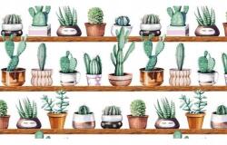 Gekkofix Statikus ablakfólia kaktuszok 67x150 G-14149 (14149)