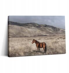 Wallfluent Vászonkép Edzőterem Lakberendezés Ló Paripa A Fű között 30x20 (010030010150000276817)