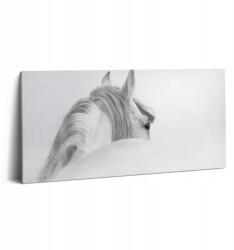 Wallfluent Vászonkép Canvas Fa kerettel Edzőterem Andalúz ló a ködben (010030010010000075341)