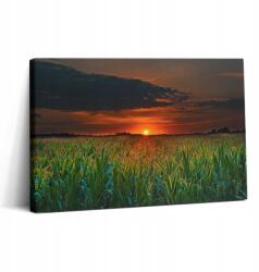 Wallfluent Fotó-Vászonkép Canvas Fa Keret Étkező Napraforgók A Réten 30x20 (010030010150000075536)