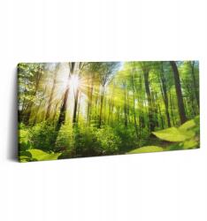 Wallfluent Fotó Vászonkép A dolgozószobába Kortárs Napsugarak az erdőben (010030010010000007224)