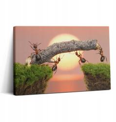 Wallfluent Vászonkép Canvas Tartós Falikép Hangyák Nappaliba A Fatörzsön 30x20 (010030010150000075276)