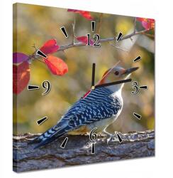 ZeSmakiem Órák 30x30 Harkály madár (H10289Z_Z1AI_30x30cm AZ)