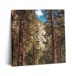 Wallfluent Vászonkép Edzőterembe Felakasztható Erdő A Yosemite-völgyben (010030010270000075688)