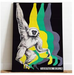  Poszter Pop Art Vintage Állatkert Berlin Majom 50X70