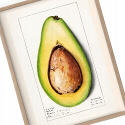 Vintage konyha poszter Avocado Retro A3