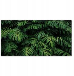 Coloray Vászon falikép Trópusi levelek 100x50 cm (010030010010000016828)