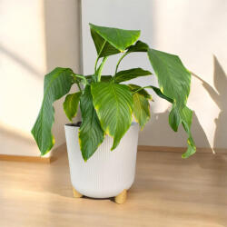 Elif Plastic Kaspó Nostalgia magas 3 lábú 31cm