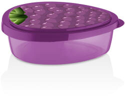 Qlux IDEAS Ételtároló Áfonya 800ml