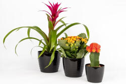 EU Kaspó Silvia 0, 17L fekete 70