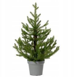  Mini Norway zöld műfenyő dekoratív kaspóban 75cm (sztuczna choinka)