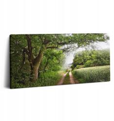 Wallfluent Vászonkép Fák ösvénye és a Nap sugarai 100x50 cm (010030010010000001278)
