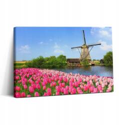 Wallfluent Vászonkép Canvas Klasszikus A dolgozószobába Holland Szélmalom Virágokkal 30x20 cm (010030010150000076016)