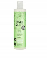  Botanic Leaf micellás sampon vékonyszálú és matt hajra Térfogat és felezés (4820229610462)