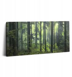 Wallfluent Fotó Vászonkép Látványos A dolgozószobába Tájkép Fák és Erdő Növényzet (010030010010000039200)