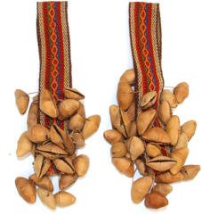  Maracas Chajchas din Seminte de Kenari pentru Ceremonie Samanica - 23x7 cm - 1 Buc