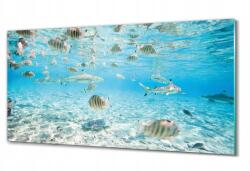 ArtprintCave Üveg falikép Cápák halak óceán 100x50 (010010010010100037928)