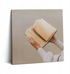 Wallfluent Vászonkép Fa Keret Hálószobába Könyv A Strandon 60x60 cm (010030010270000075523)