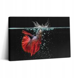 Wallfluent Vászonkép Edzőterembe Kortárs Hal Az Akváriumban 30x20 cm (010030010150000074936)