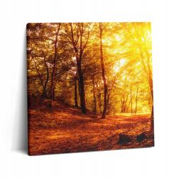 Wallfluent Fotó Vászonkép Látványos Stúdió Tájkép Naplemente Ősz (010030010270000075092)