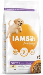 Iams Puppy Száraz Kutyaeledel kutyáknak Csirke 2KG