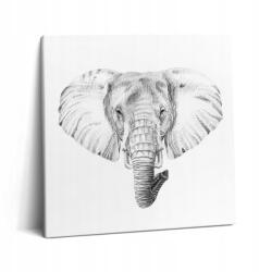 Wallfluent Vászonkép Canvas Vázon Étkezőbe Elefántfej rajz 60x60 cm (010030010270000075262)