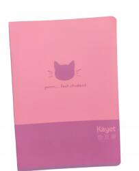 Kayet 25. Kayet Iskolai füzet A5 16k Keskeny Vonalak mix borító (5902277338488)