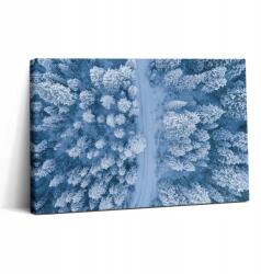 Wallfluent Canvas Vászonkép Vendégszobába Ökológiai Erdő Drón 30x20 cm (010030010150000075395)