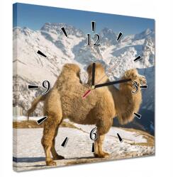 ZeSmakiem Órák 30x30 Baktrian teve (H10284Z_Z1AI_30x30cm AZ)