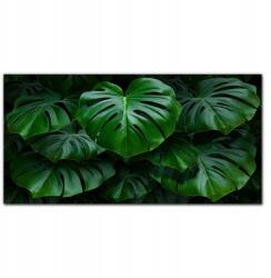 Coloray Vászon falikép Növények levelei 100x50 cm (010030010010000017091)
