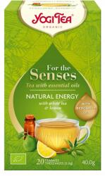 YOGI TEA Natural Energy Természetes energia (17x2, 0g) (4012824405776)