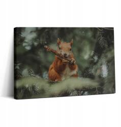 Wallfluent Vászonkép Edzőterembe Fa keret Mókus Vad Természet 30x20 cm (010030010150000075393)