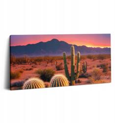 Wallfluent Vászonkép Készen áll az edzőterembe való felszerelésre Naplemente a sivatagban (010030010010000075942)