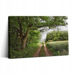 Wallfluent Vászonkép a vendégszobába Könnyű összeszerelés Ösvény Sugárzás (010030010150000001278)