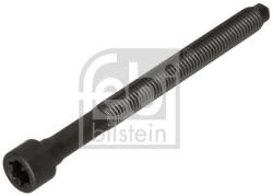 Febi Bilstein Skrutka hlavy valcov FEBI BILSTEIN 184669 (184669)