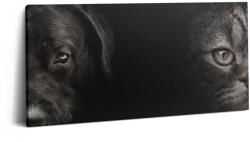 Wallfluent Vászonkép Canvas Gyönyörű Nyomtatás Nappaliba Labrador Kutya És Skót Macska (010030010010000075335)