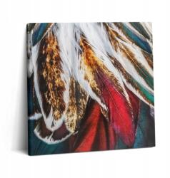 Wallfluent Vászonkép Canvas Konyha Stílusos Ajándék Világosbarna Madár Tollak (010030010270000074914)