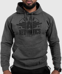 Iron Aesthetics Fitness cipzár nélküli pulóver Iron Aesthetics Force, Charcoal Grey: M Szürke