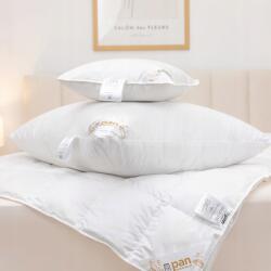 Pan Materac Pihe-puha párna 70x80 Delicate márkájú Pan Materac (5905610621346)