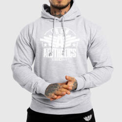 Iron Aesthetics Hanorac fitness fără fermoar Iron Aesthetics Force, gri: Gri S (P1766A10724)
