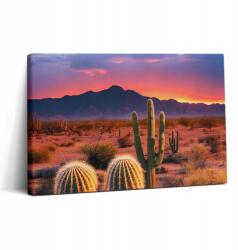 Wallfluent Vászonkép Canvas Modern A dolgozószobába Naplemente a sivatagban (010030010150000075942)