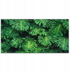 Coloray Fotó-vászon keretes vászonkép Levelek virágok 100x50 cm (010030010010000016989)