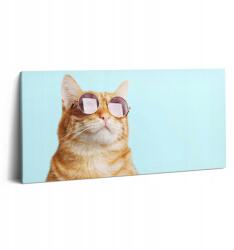 Wallfluent Vászonkép Canvas Előszoba Falra Vicces Macska Szemüvegben (010030010010000075337)