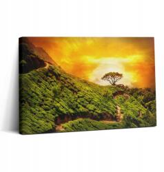 Wallfluent Canvas Fotó Vászon Klasszikus Irodai Dekoráció Domb Tea 30x20 (010030010150000074961)
